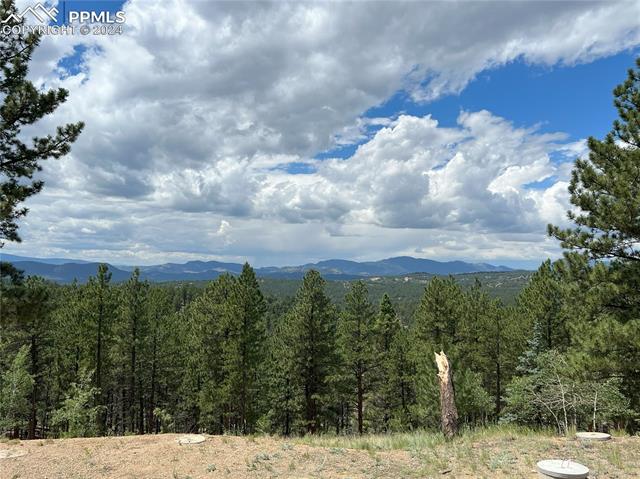 370 Shavano Creek Trail