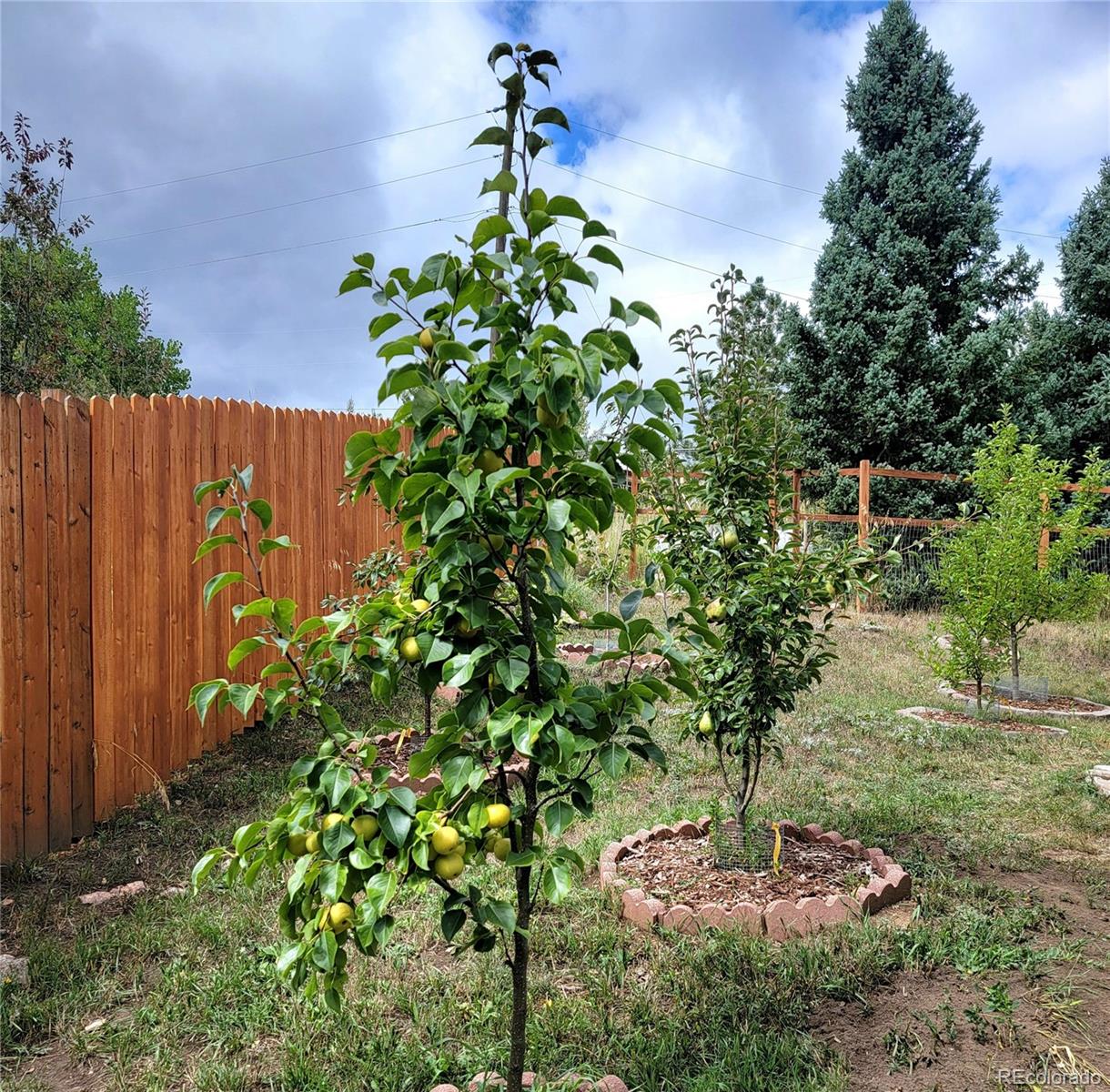 570 Columbine Avenue