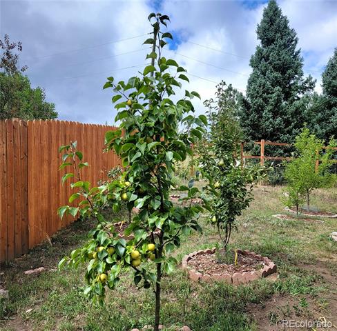 570 Columbine Avenue