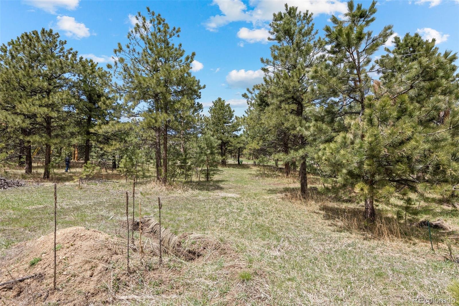 6068 S Skyline Drive