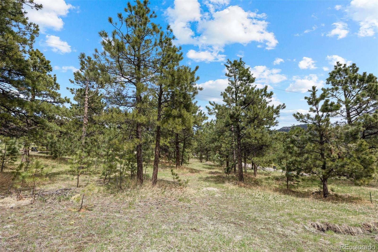 6068 S Skyline Drive