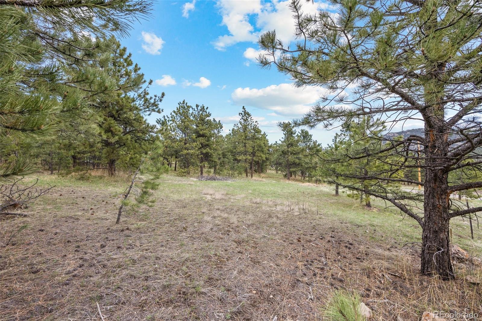6068 S Skyline Drive