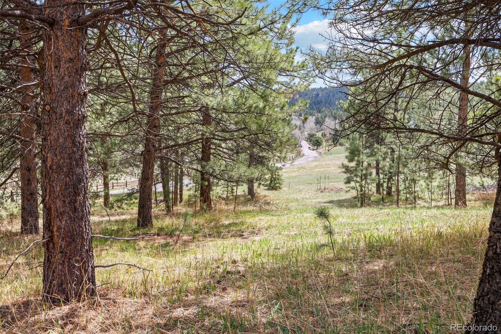 6068 S Skyline Drive