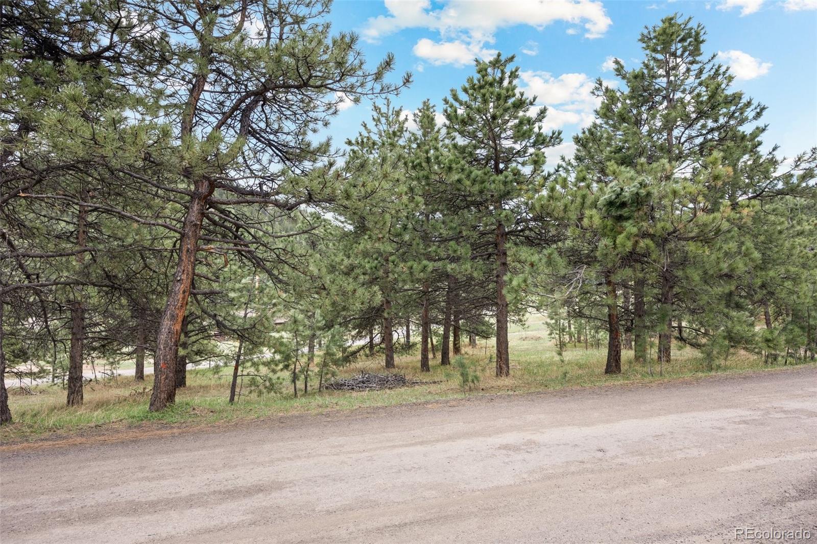 6068 S Skyline Drive