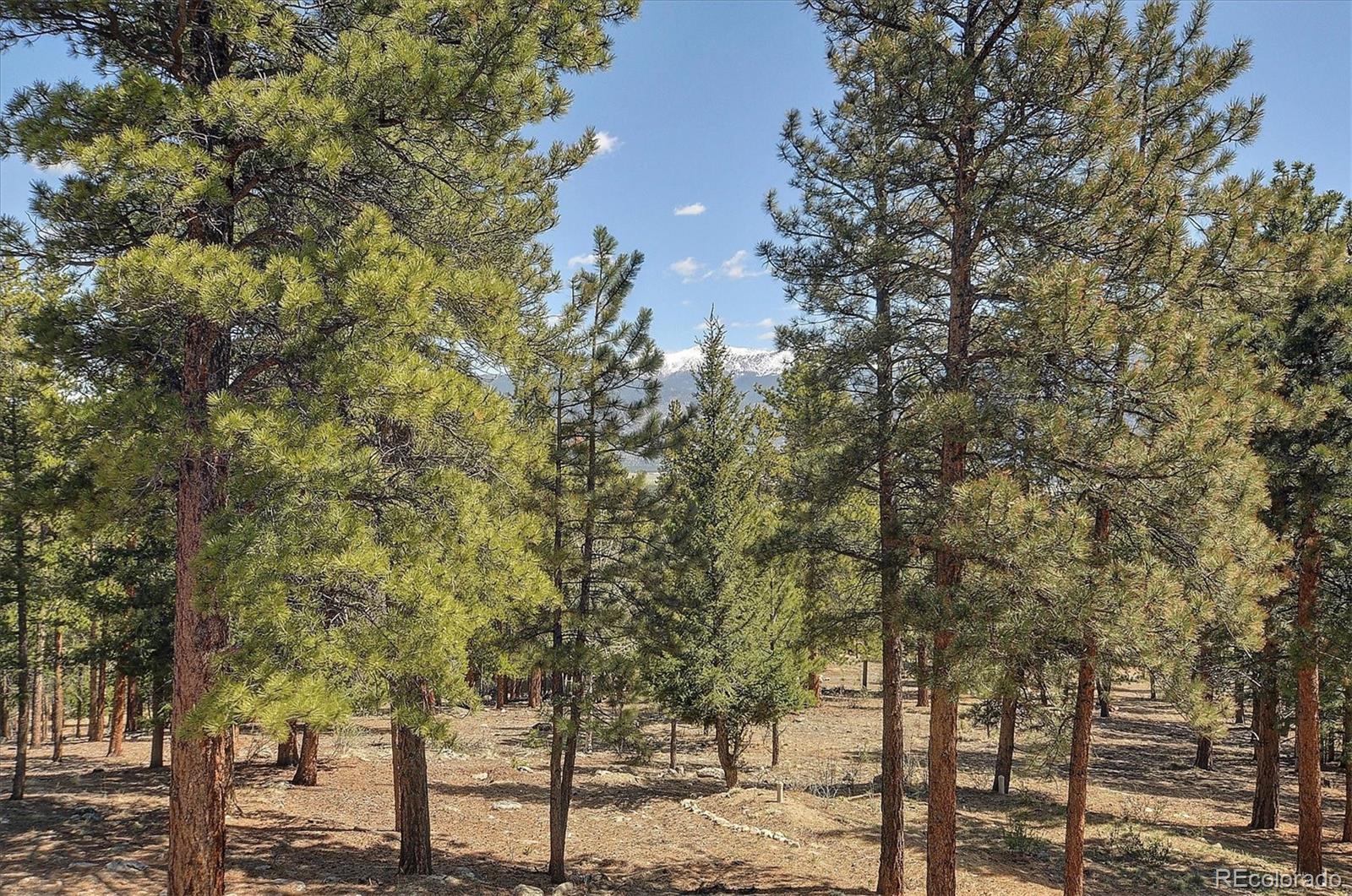 30220 Columbia Point