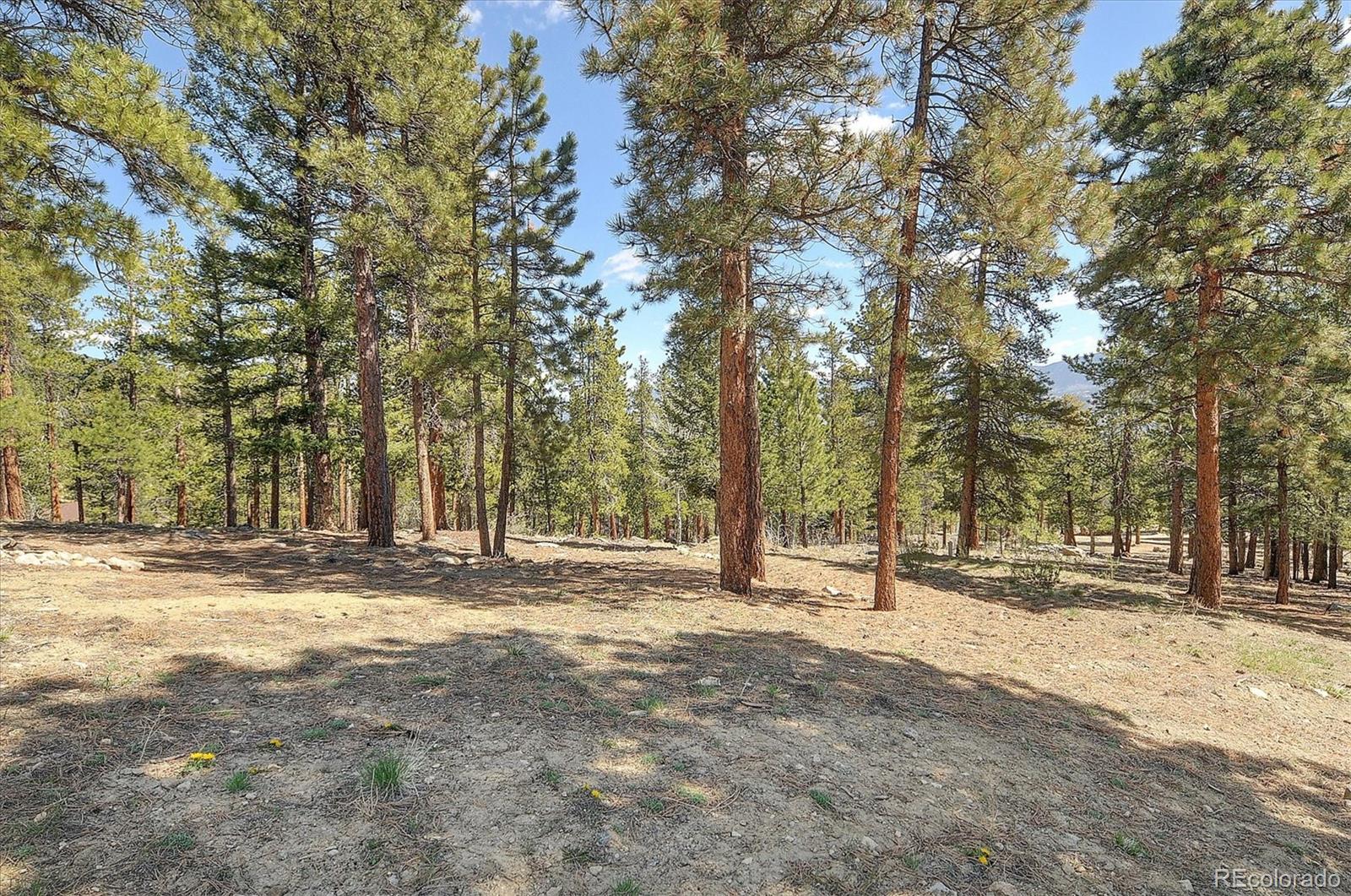 30220 Columbia Point