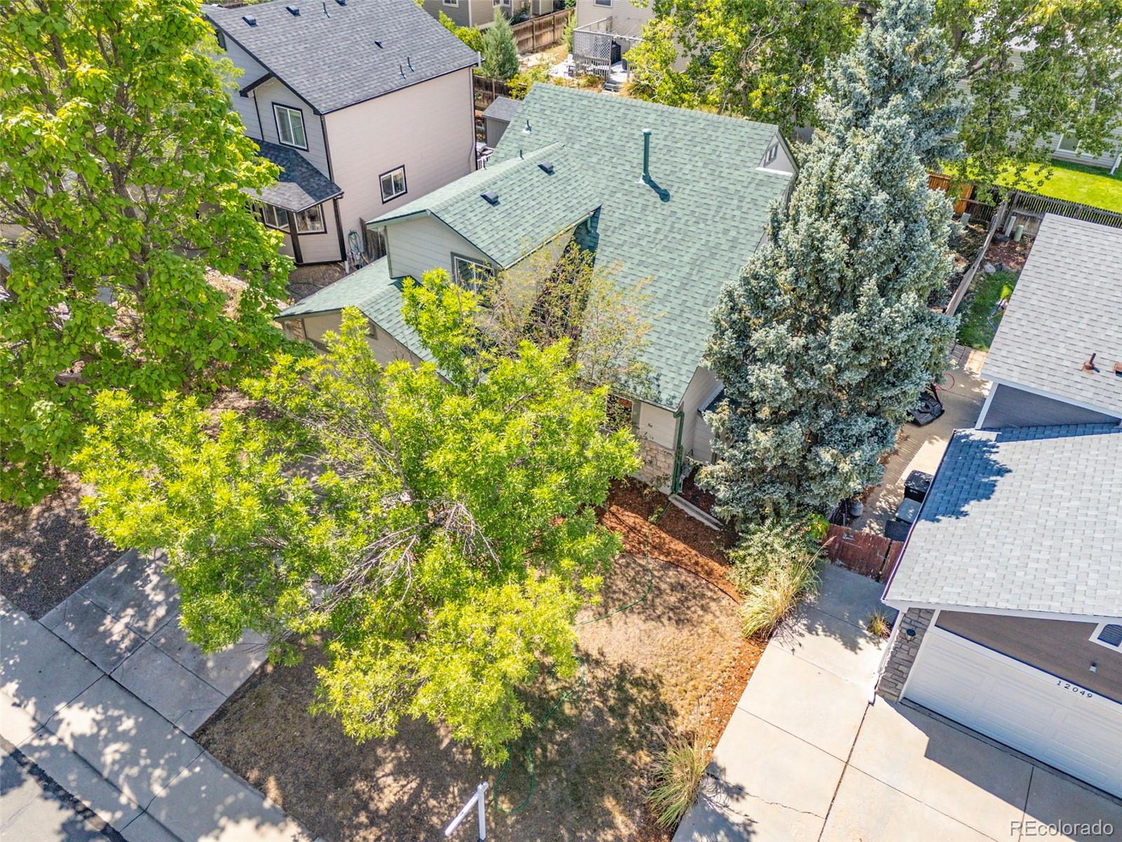 12039 Forest Street