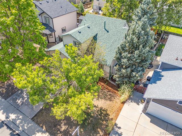 12039 Forest Street