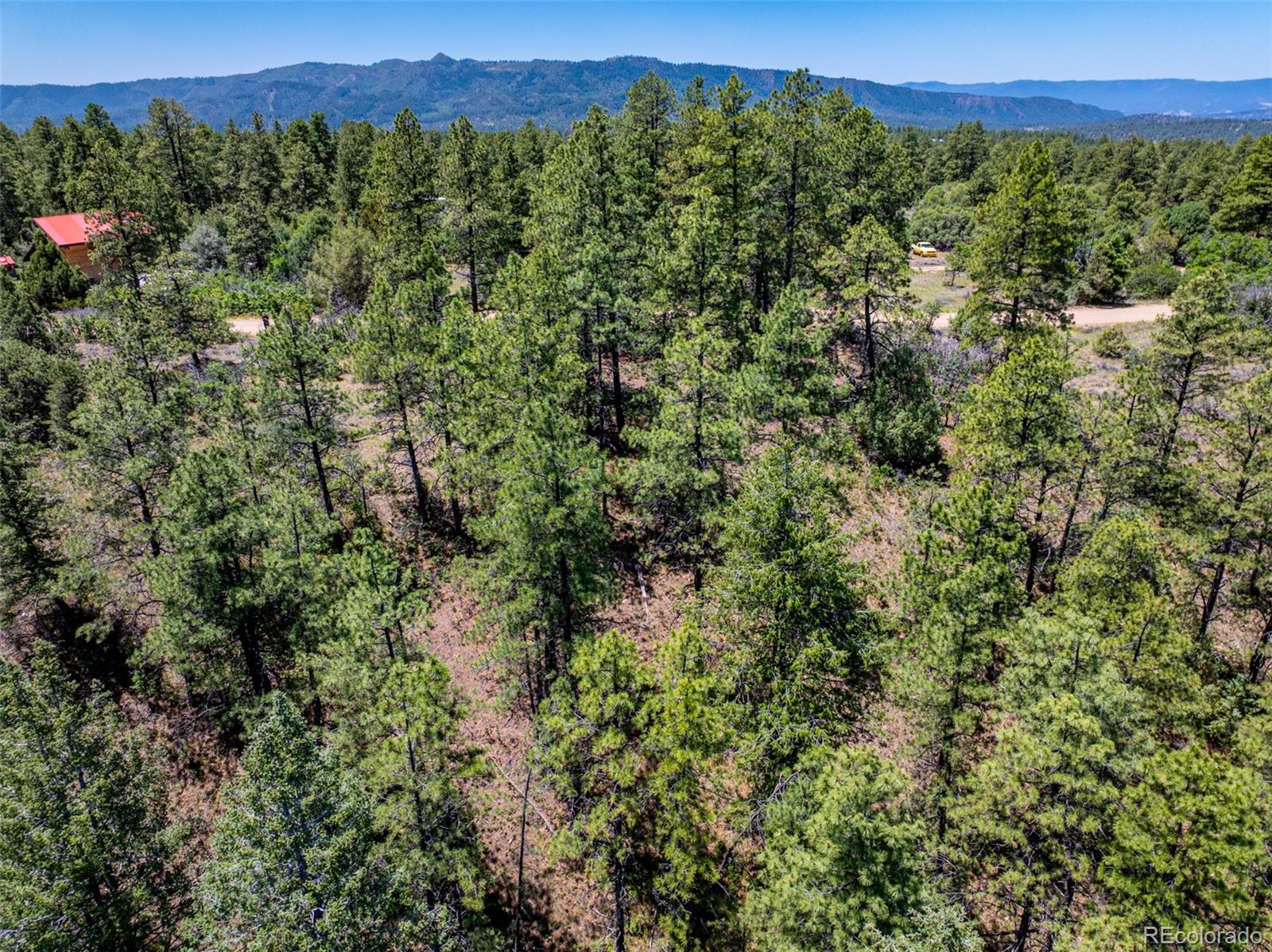 783 Gun Barrel Road