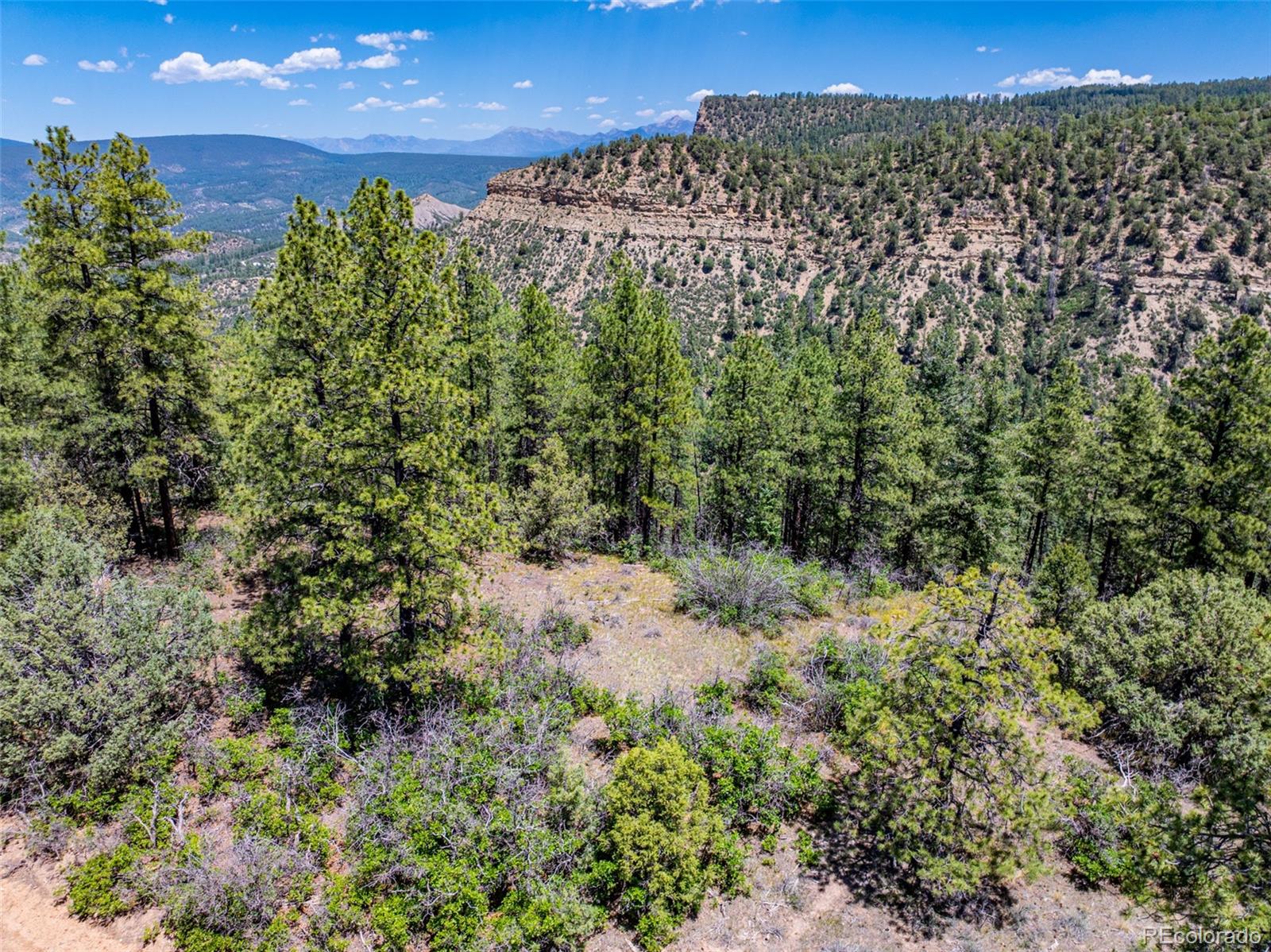 783 Gun Barrel Road
