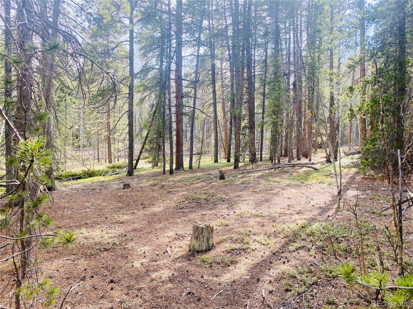00 Lone Ponderosa Drive