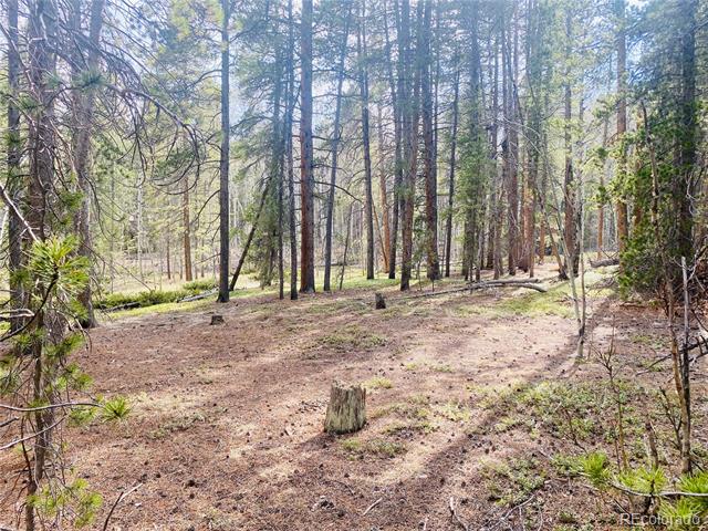 00 Lone Ponderosa Drive