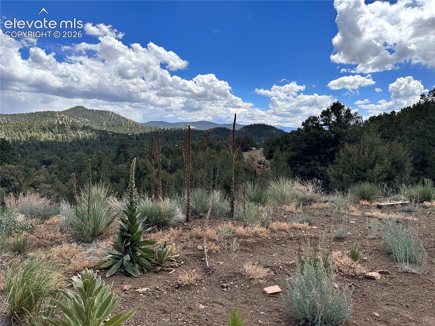 2973 Driftwood Road