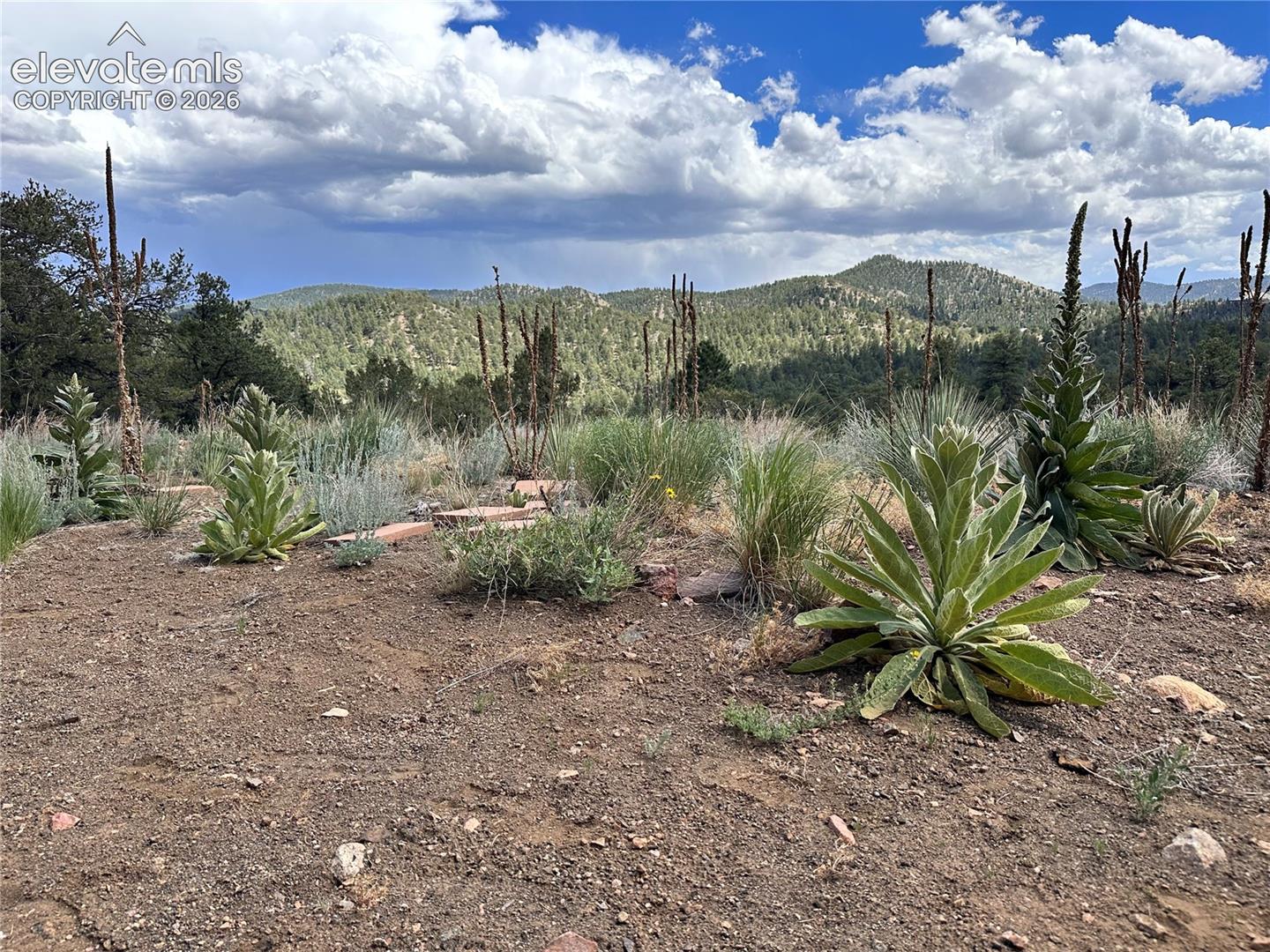 2973 Driftwood Road