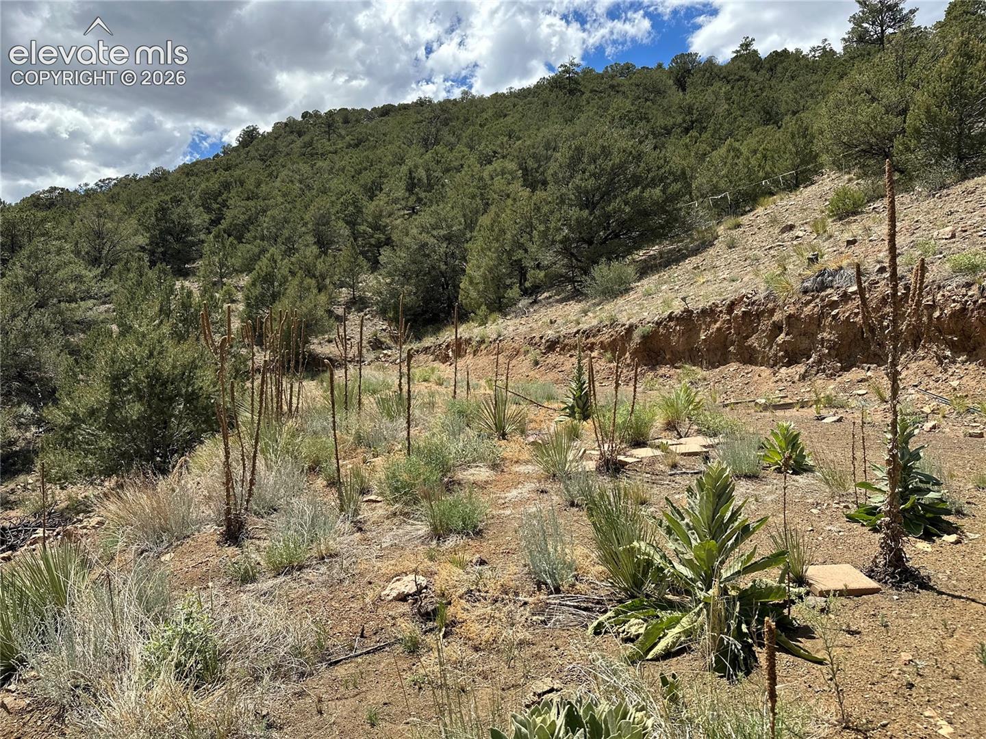 2973 Driftwood Road