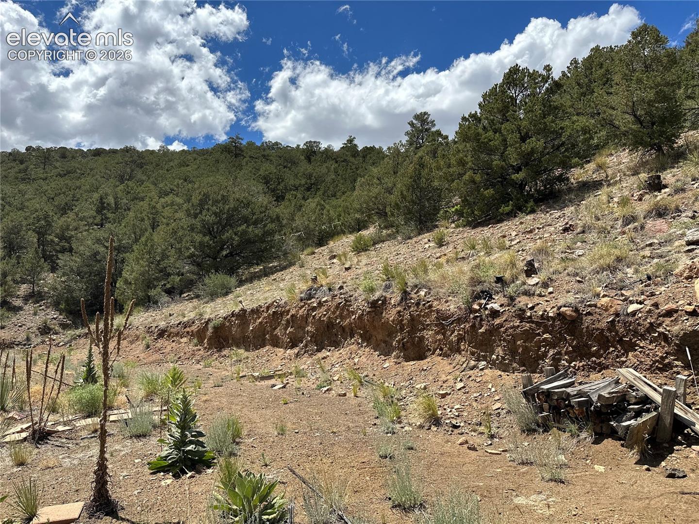2973 Driftwood Road