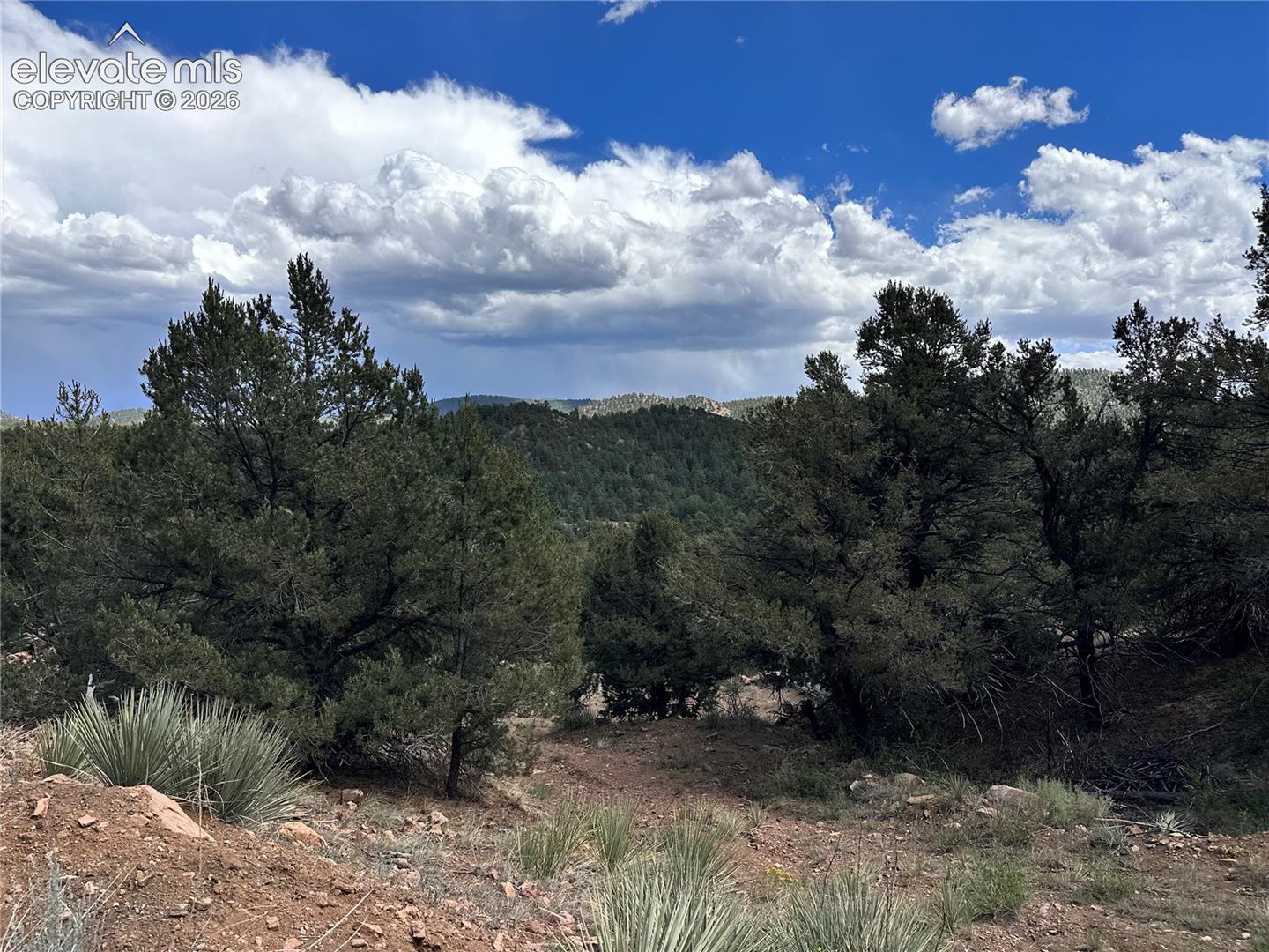 2973 Driftwood Road