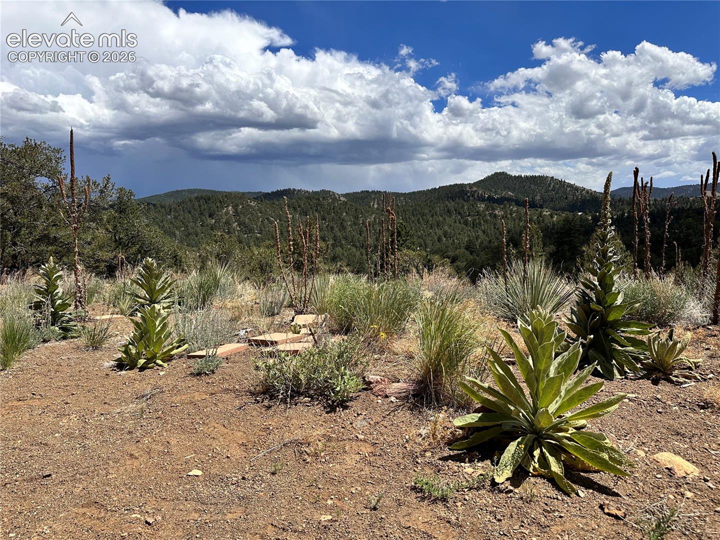 2973 Driftwood Road