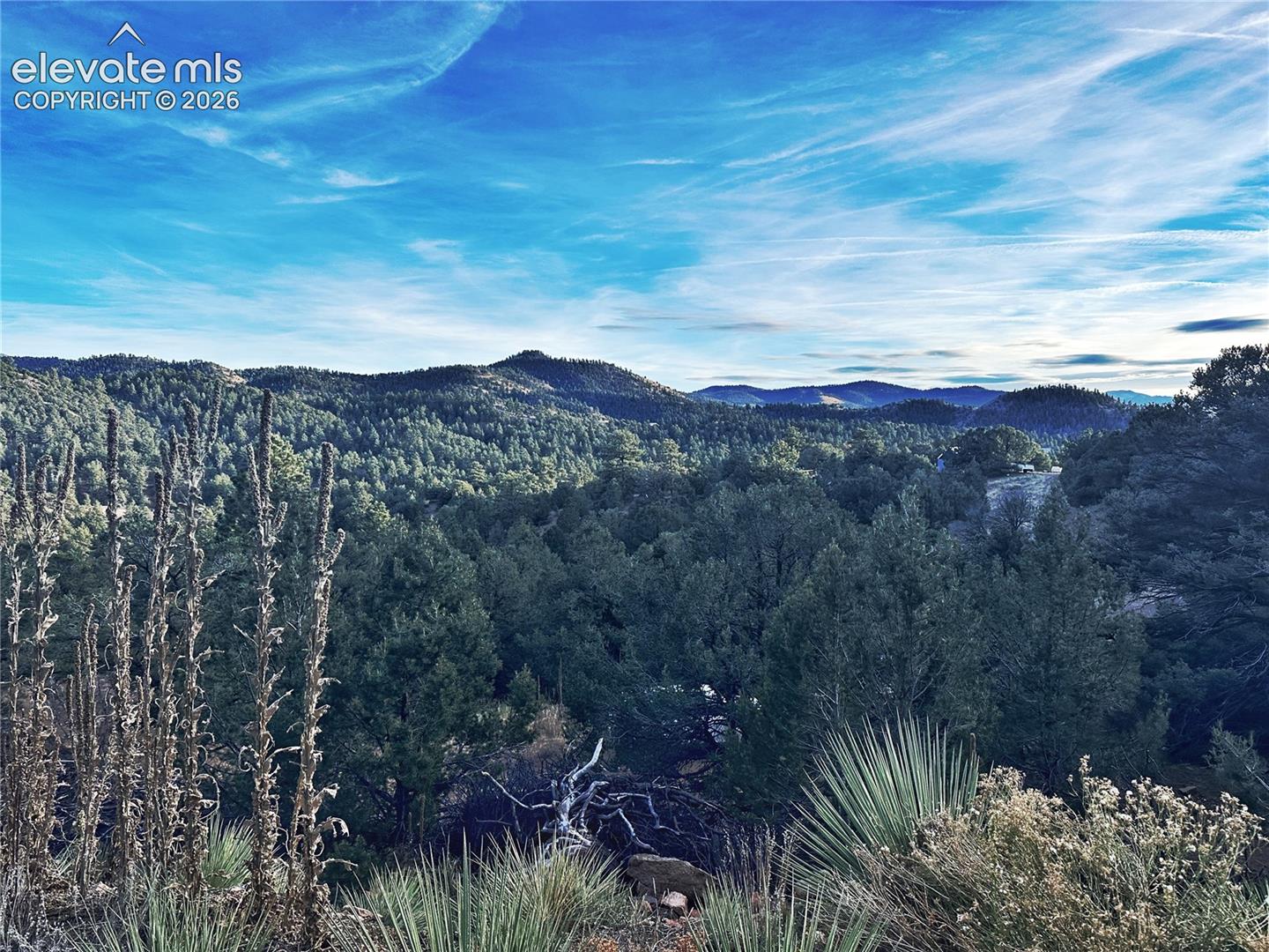 2973 Driftwood Road