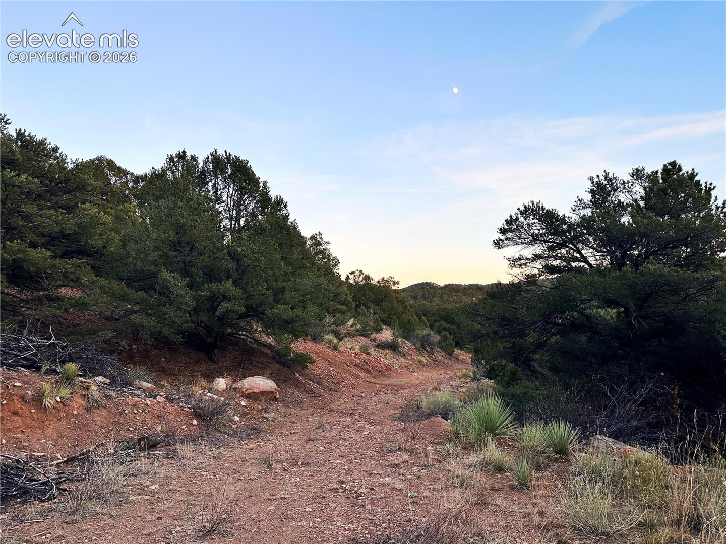 2973 Driftwood Road