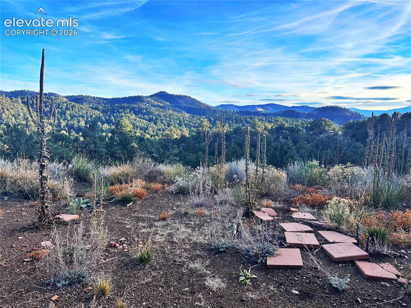 2973 Driftwood Road