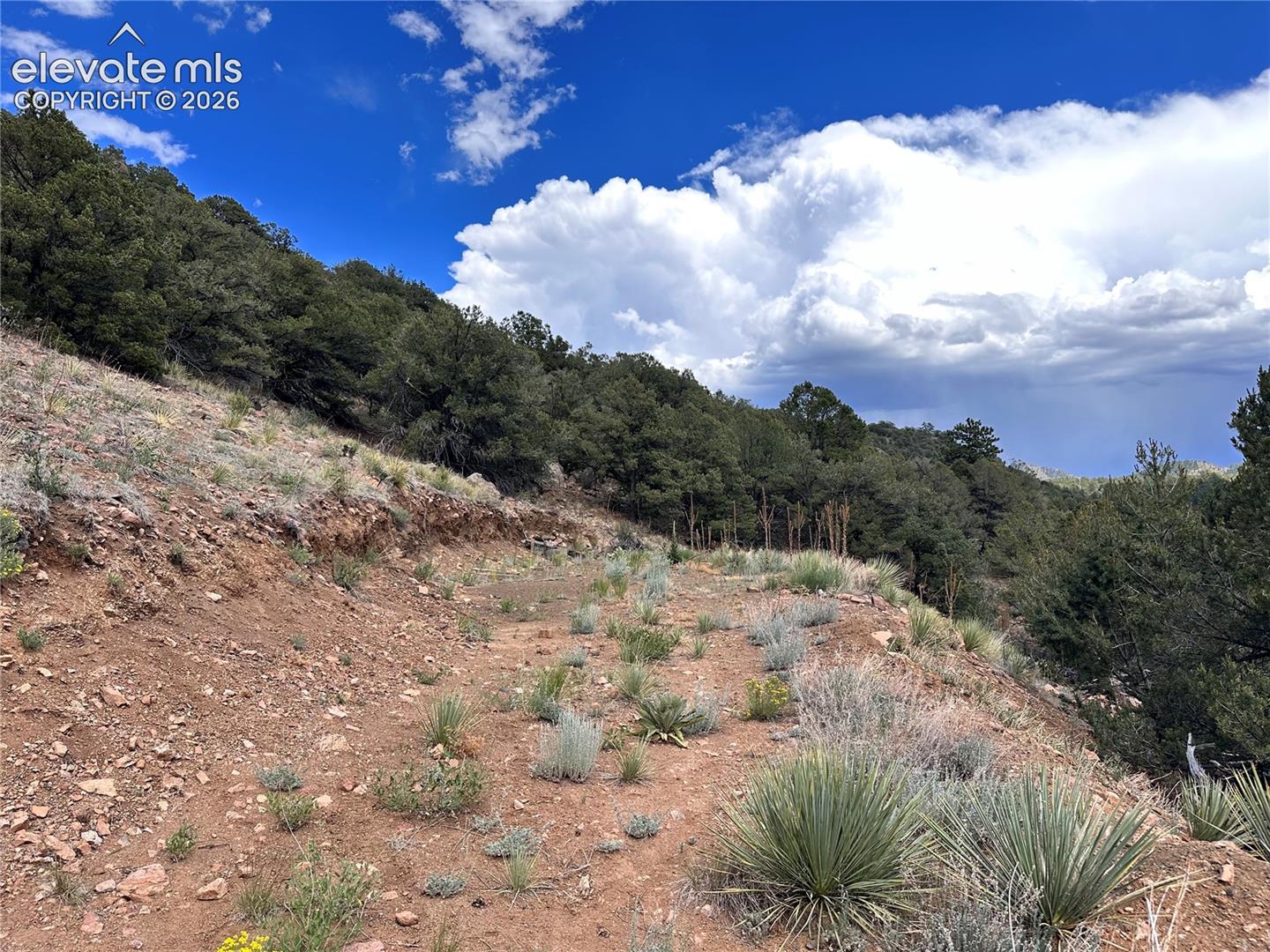 2973 Driftwood Road