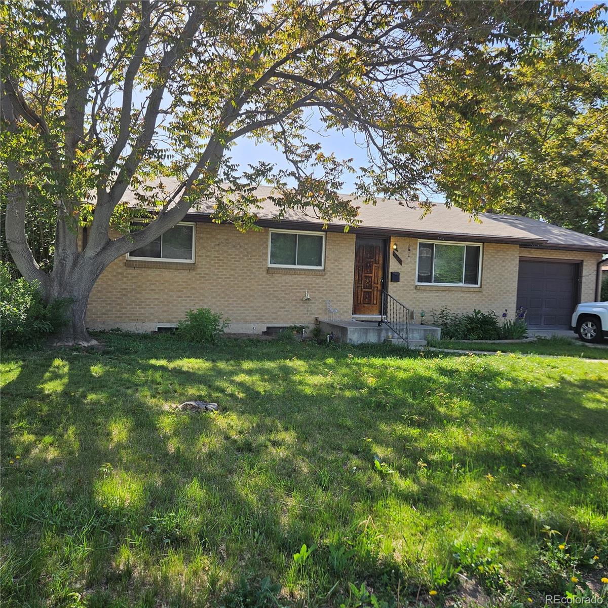 6438 Xavier Street