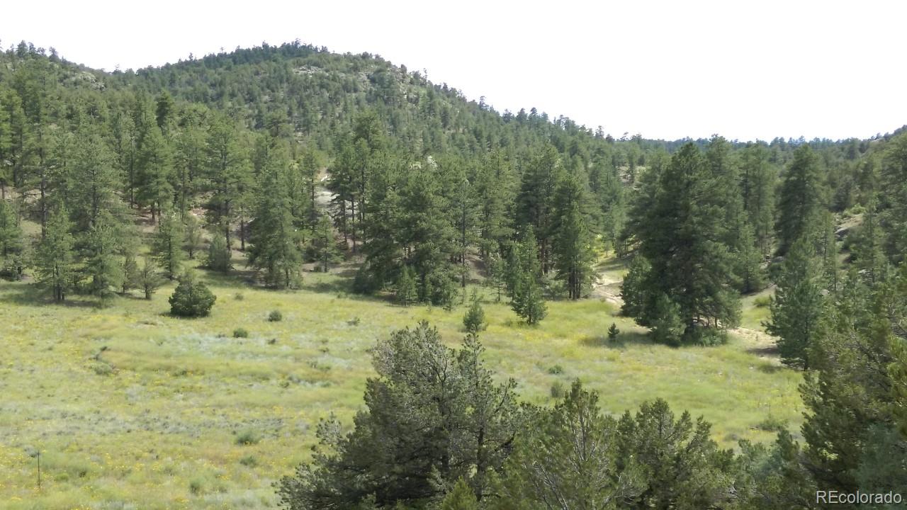 Bear Run