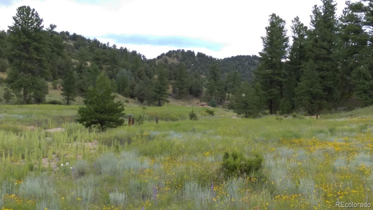 Bear Run