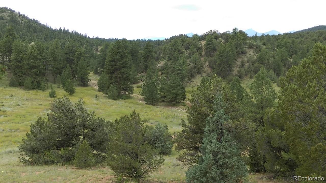 Bear Run
