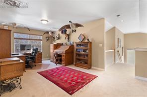 2271 Mankato Court