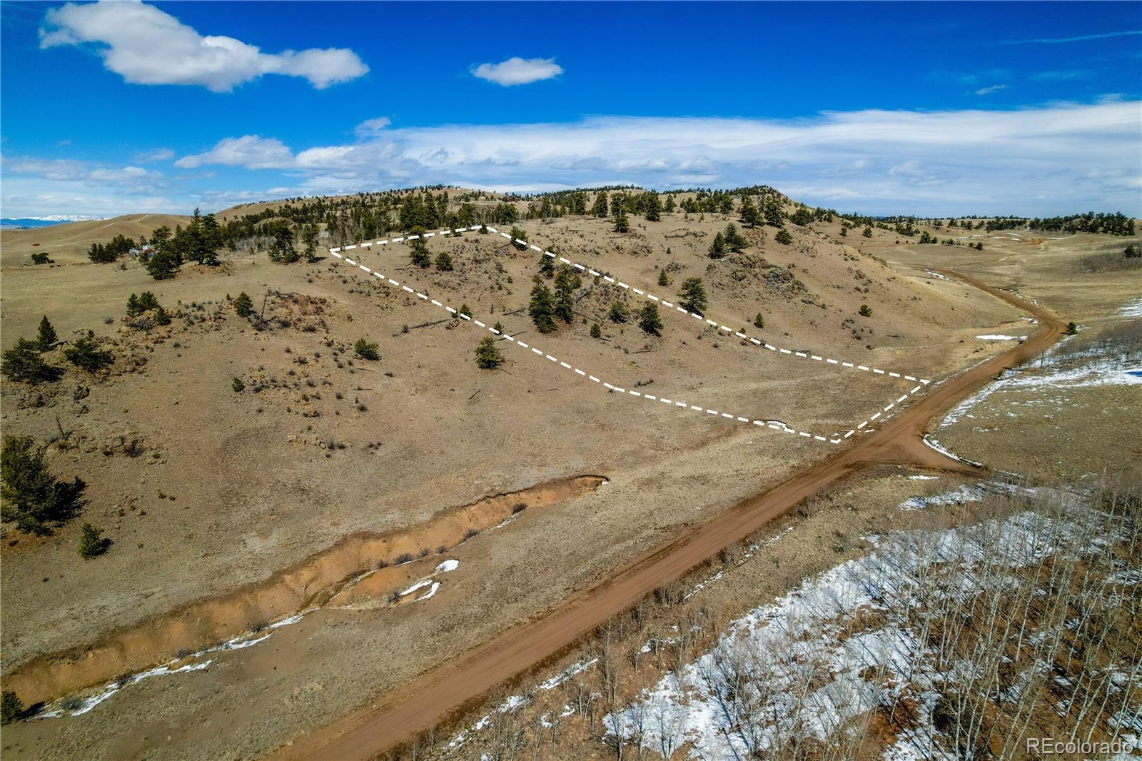 Dog Chief Trail