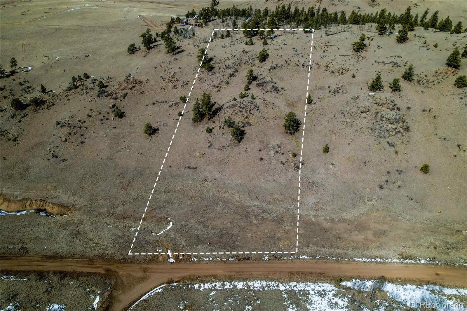 Dog Chief Trail