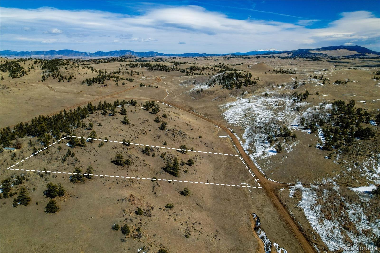 Dog Chief Trail