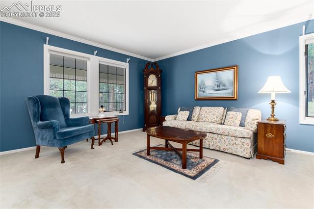 18485 Lazy Summer Way