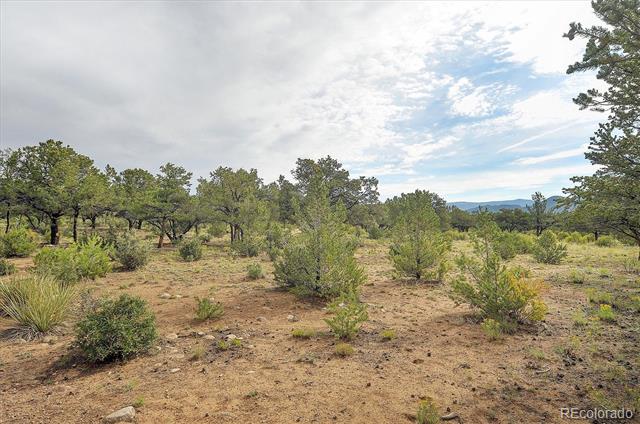 000 County Road 362