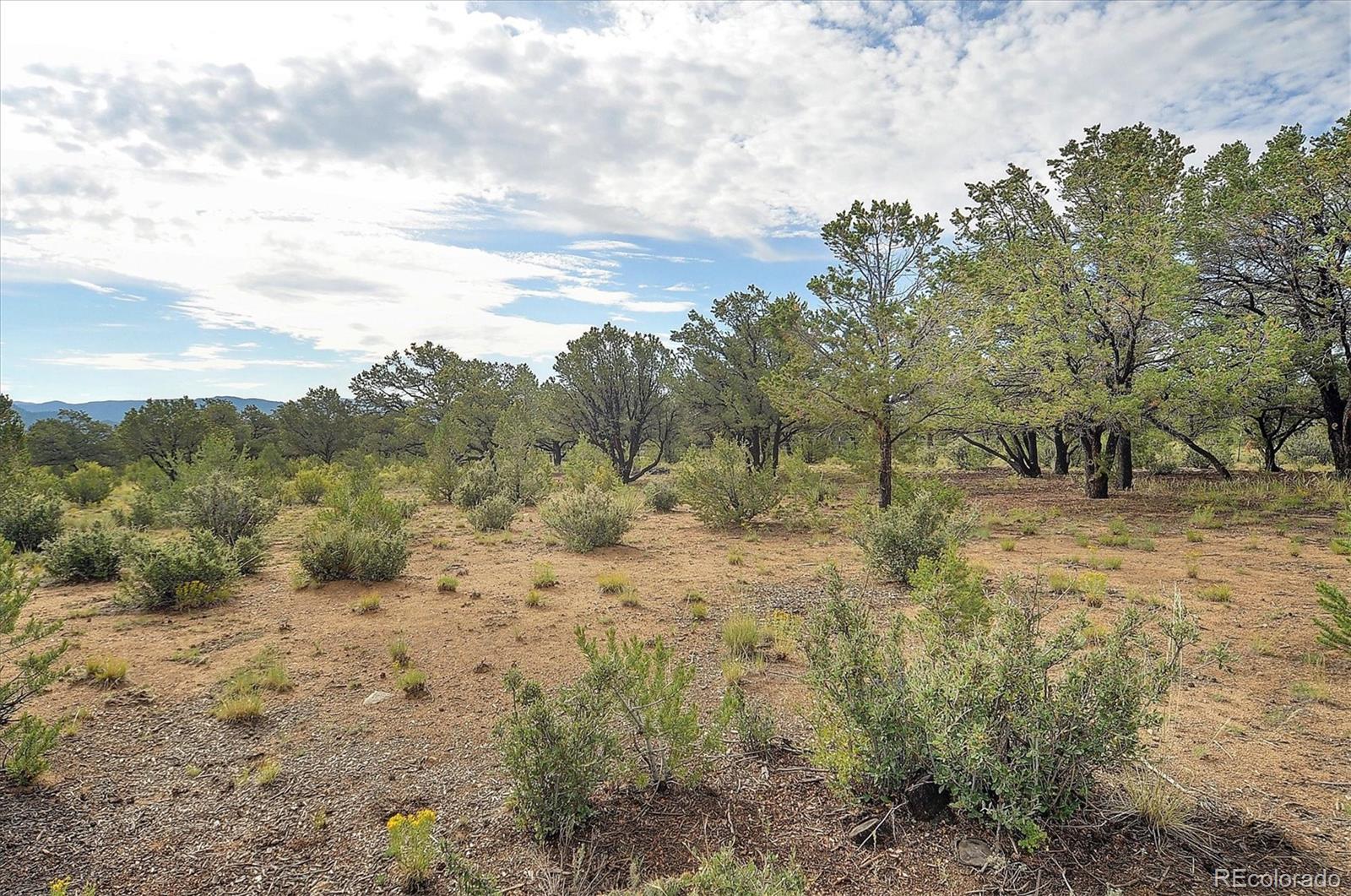 000 County Road 362