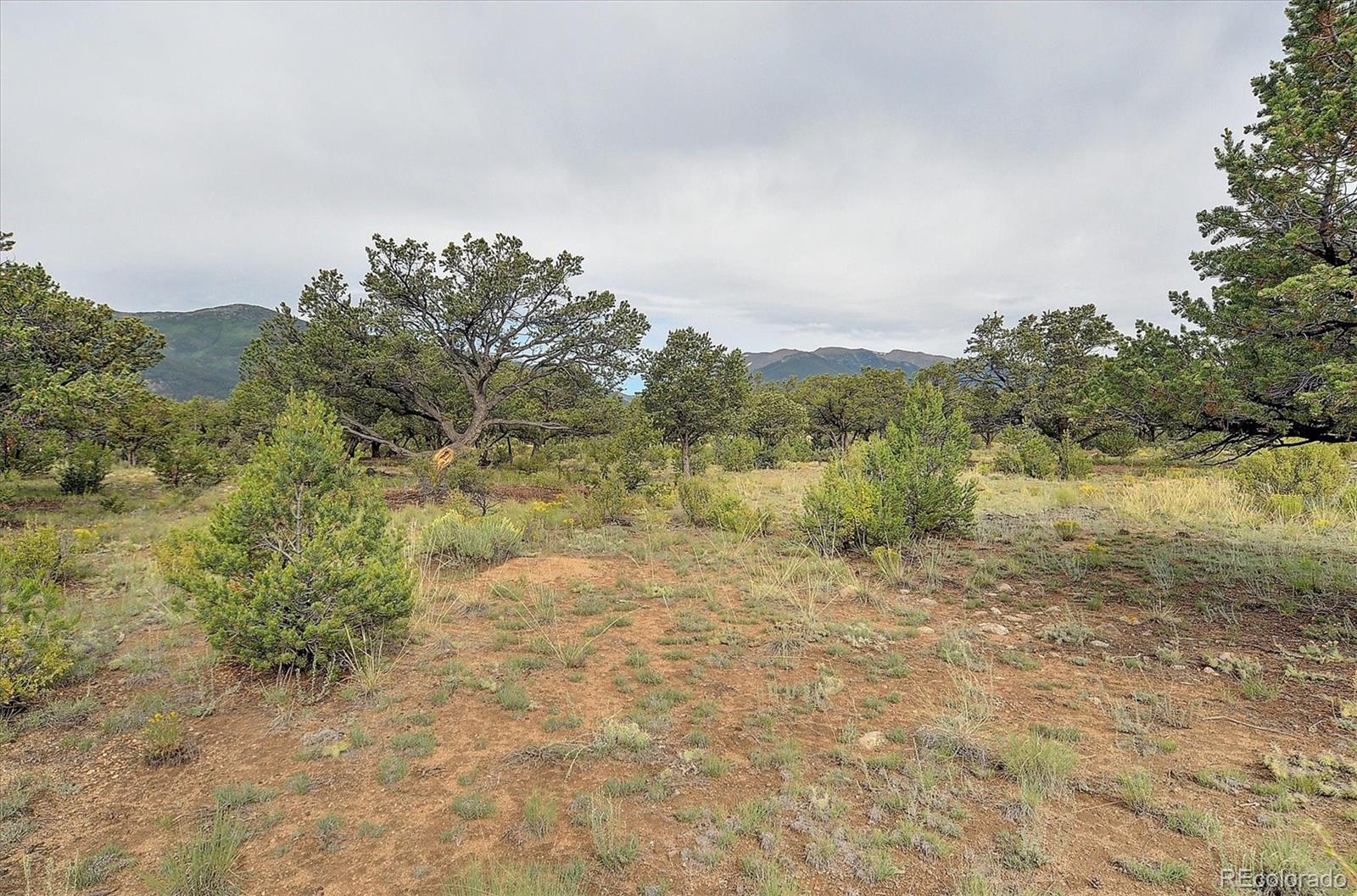 000 County Road 362