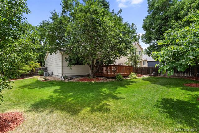 11313 Haswell Drive