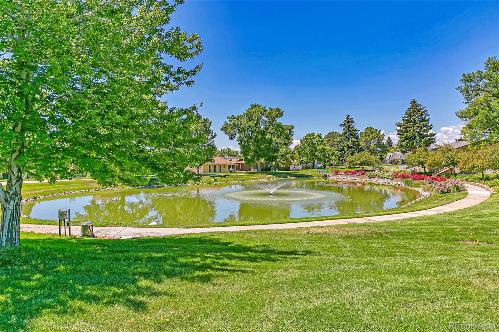 7 N Douglas Drive