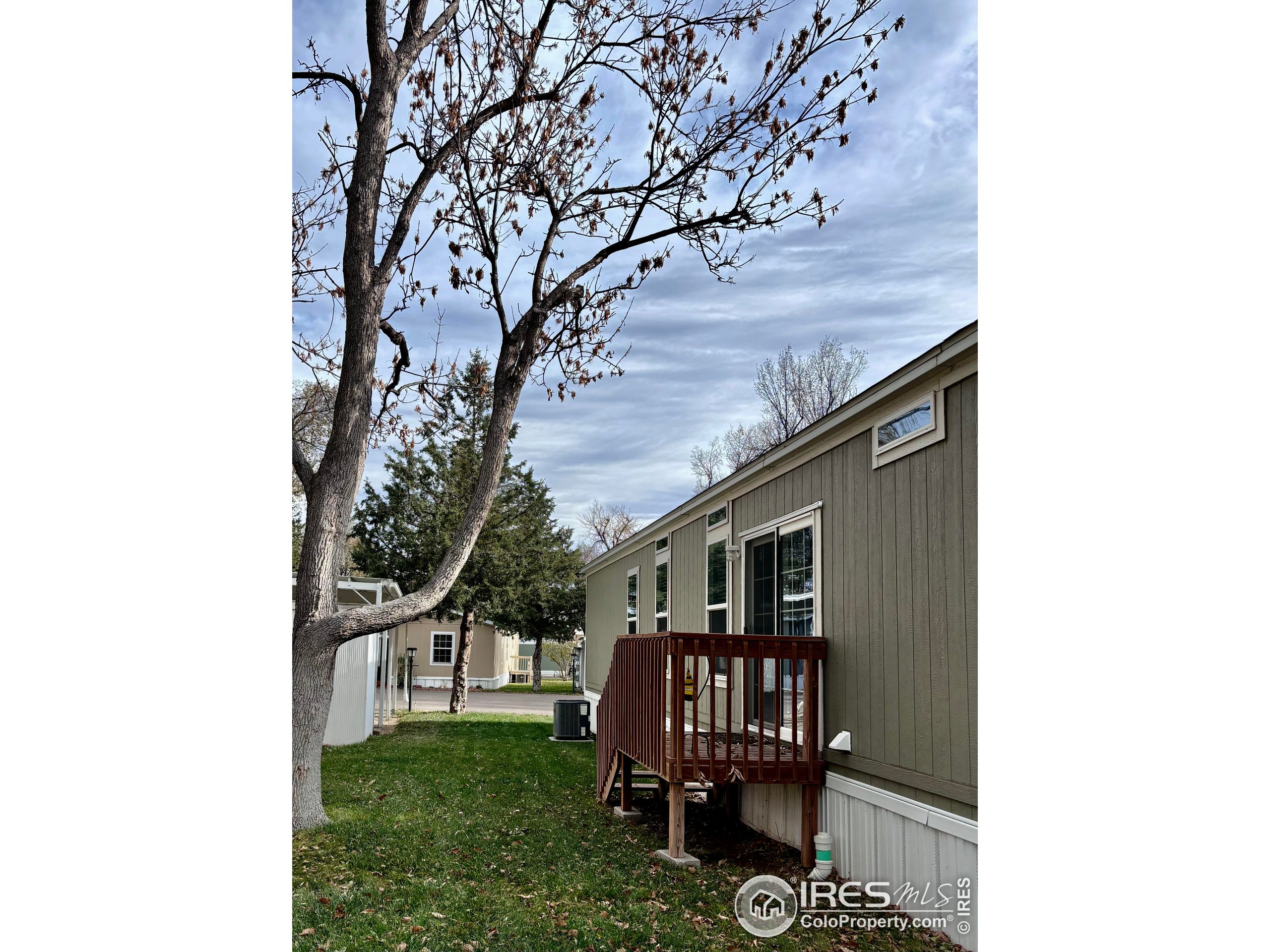 3109 E Mulberry St 10