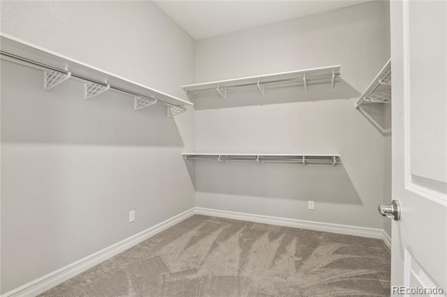 12938 Bridge View Lane