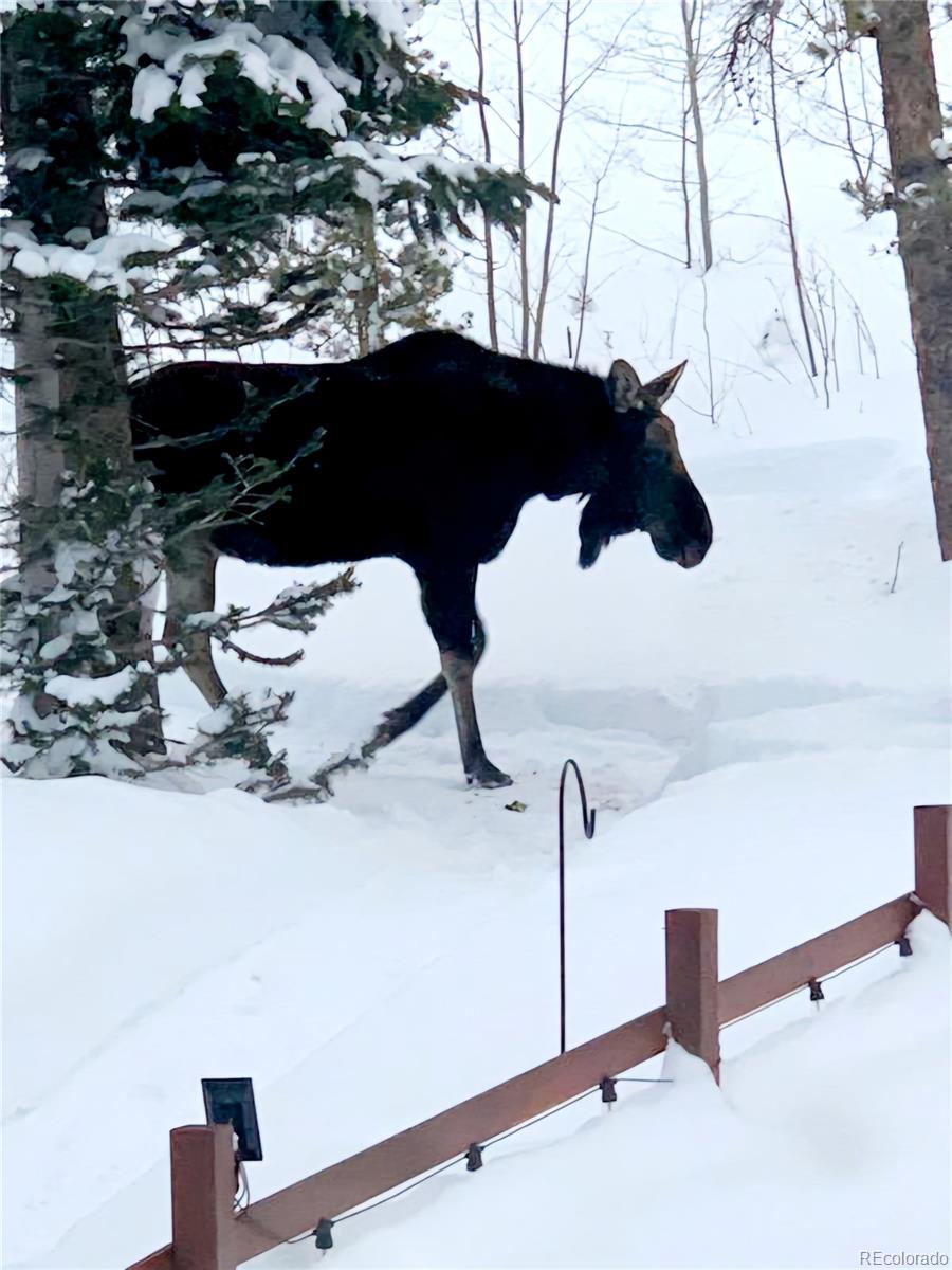 1666 High Creek Road