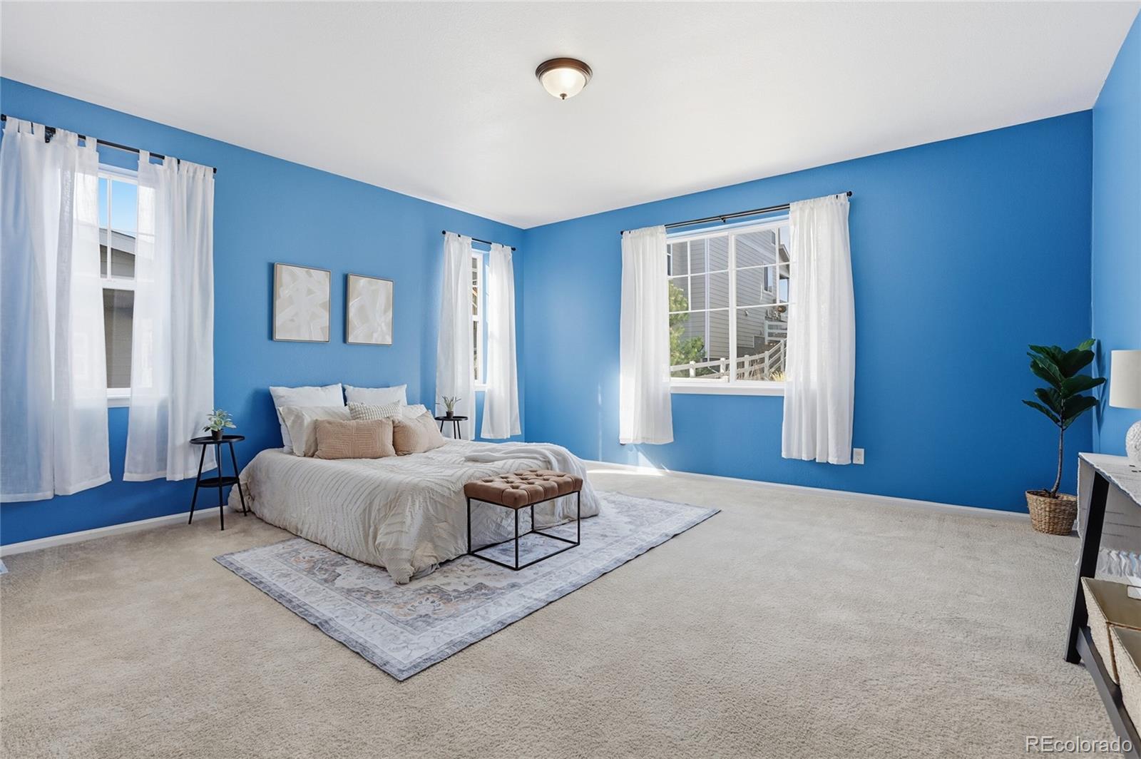 5117 Coltin Trail