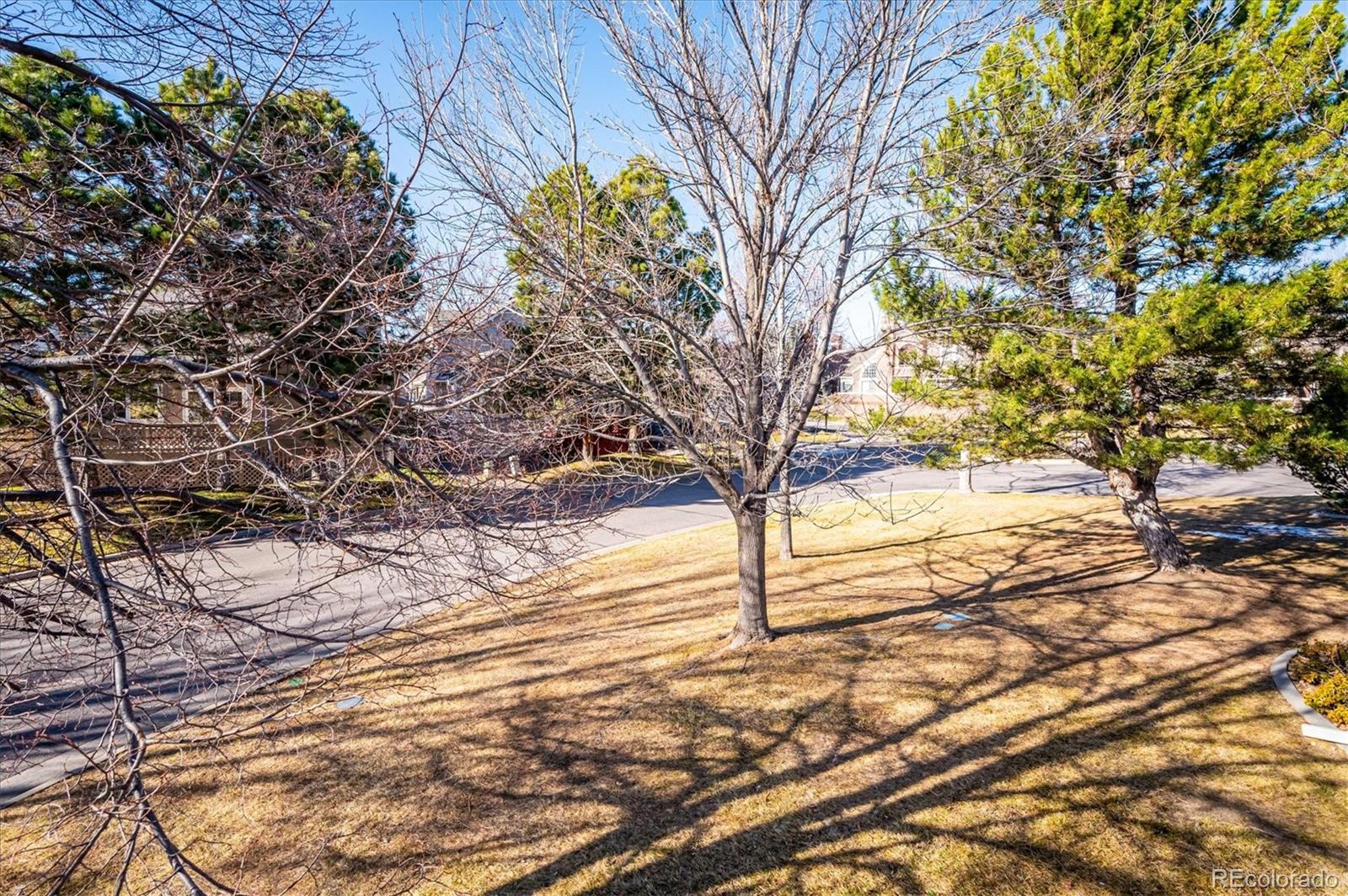 5038 S Nelson Street Unit: C