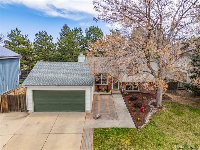 6282 Yank Court