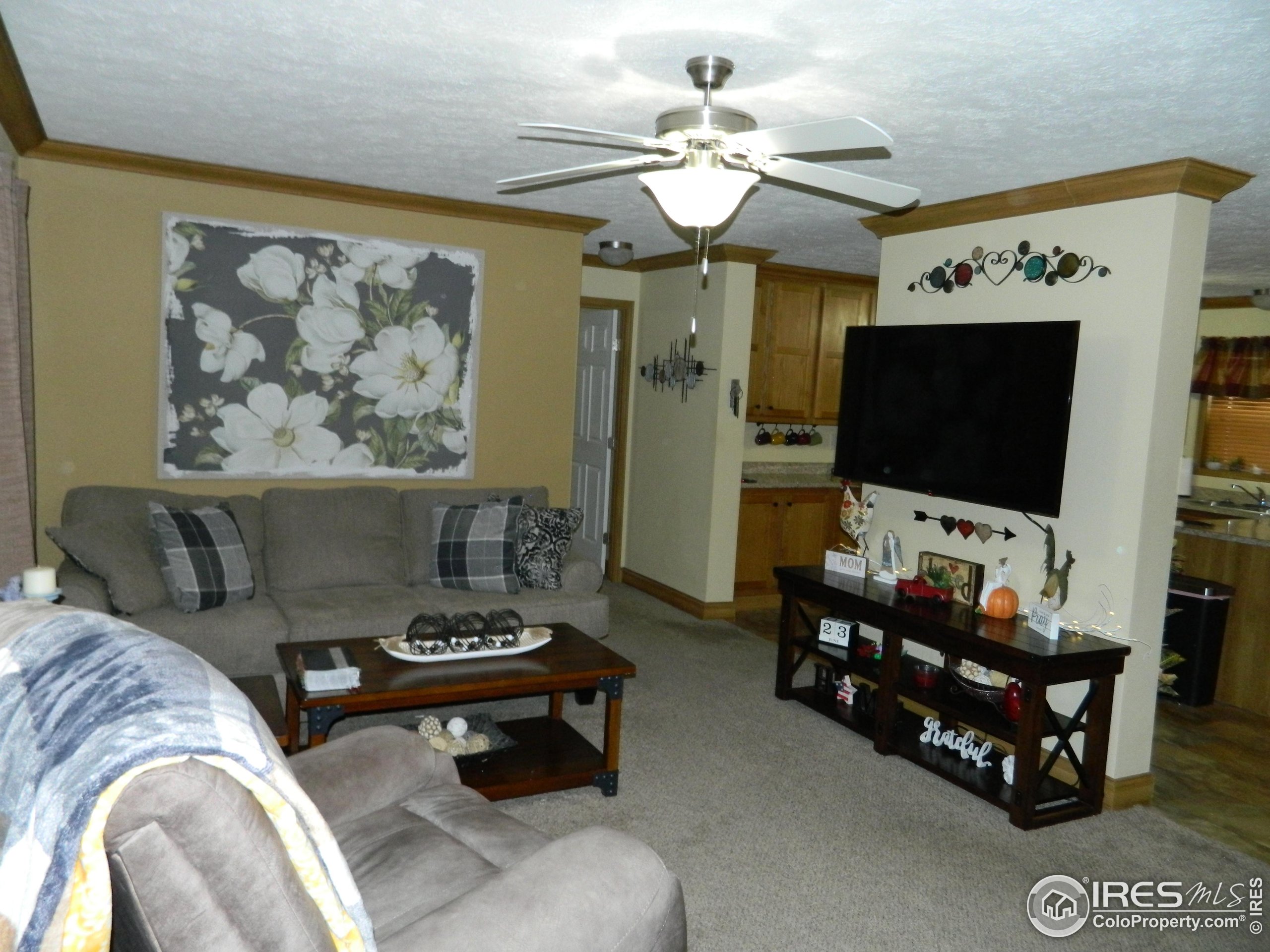 4225 Buffalo Trl 396