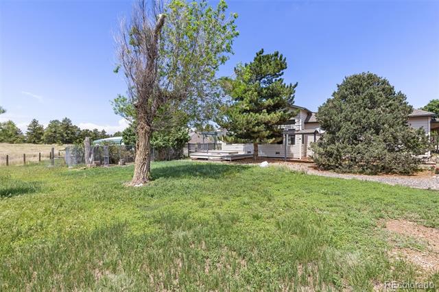 1299 Pine Ridge Street