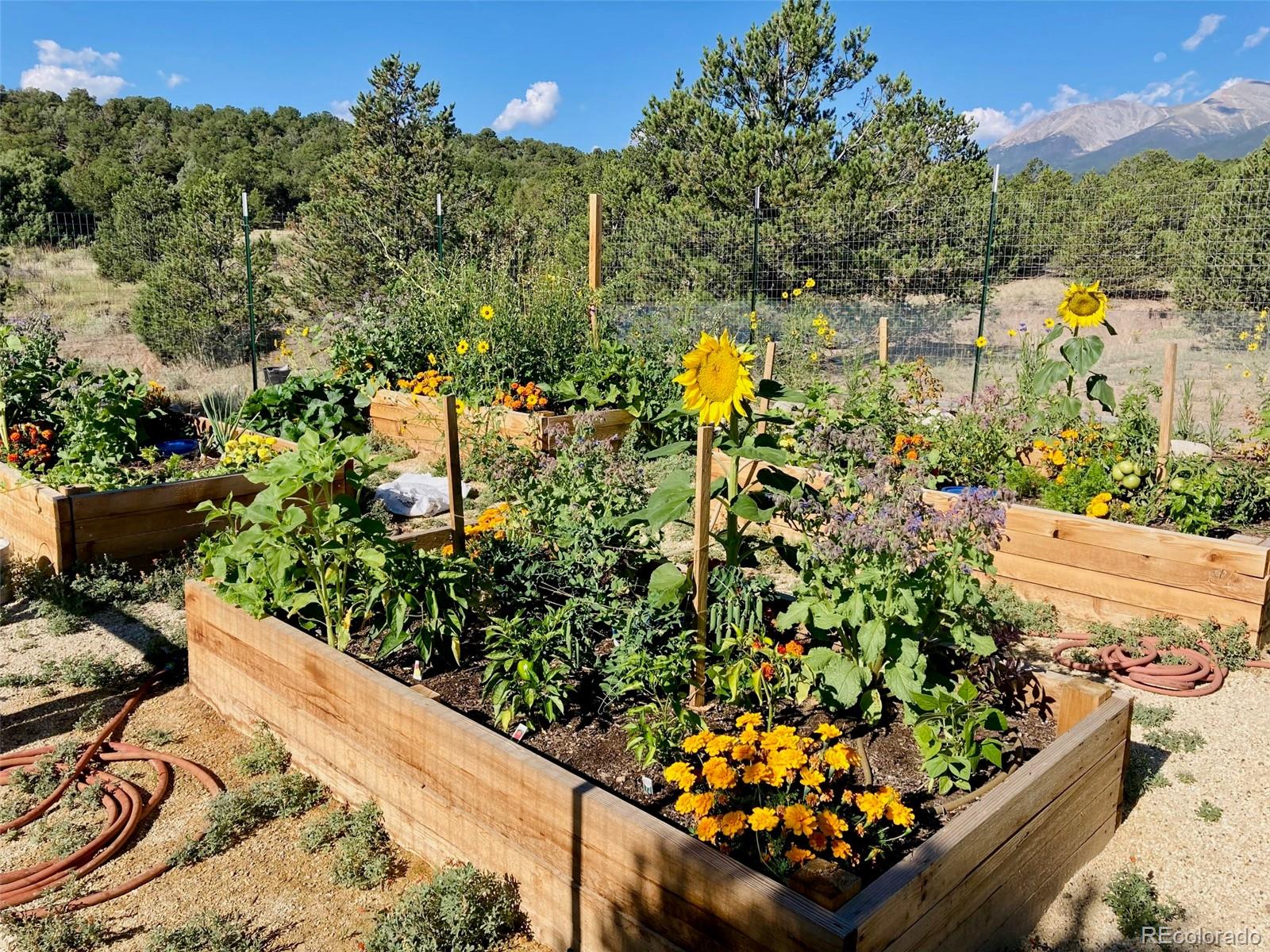 14051 US Highway 285