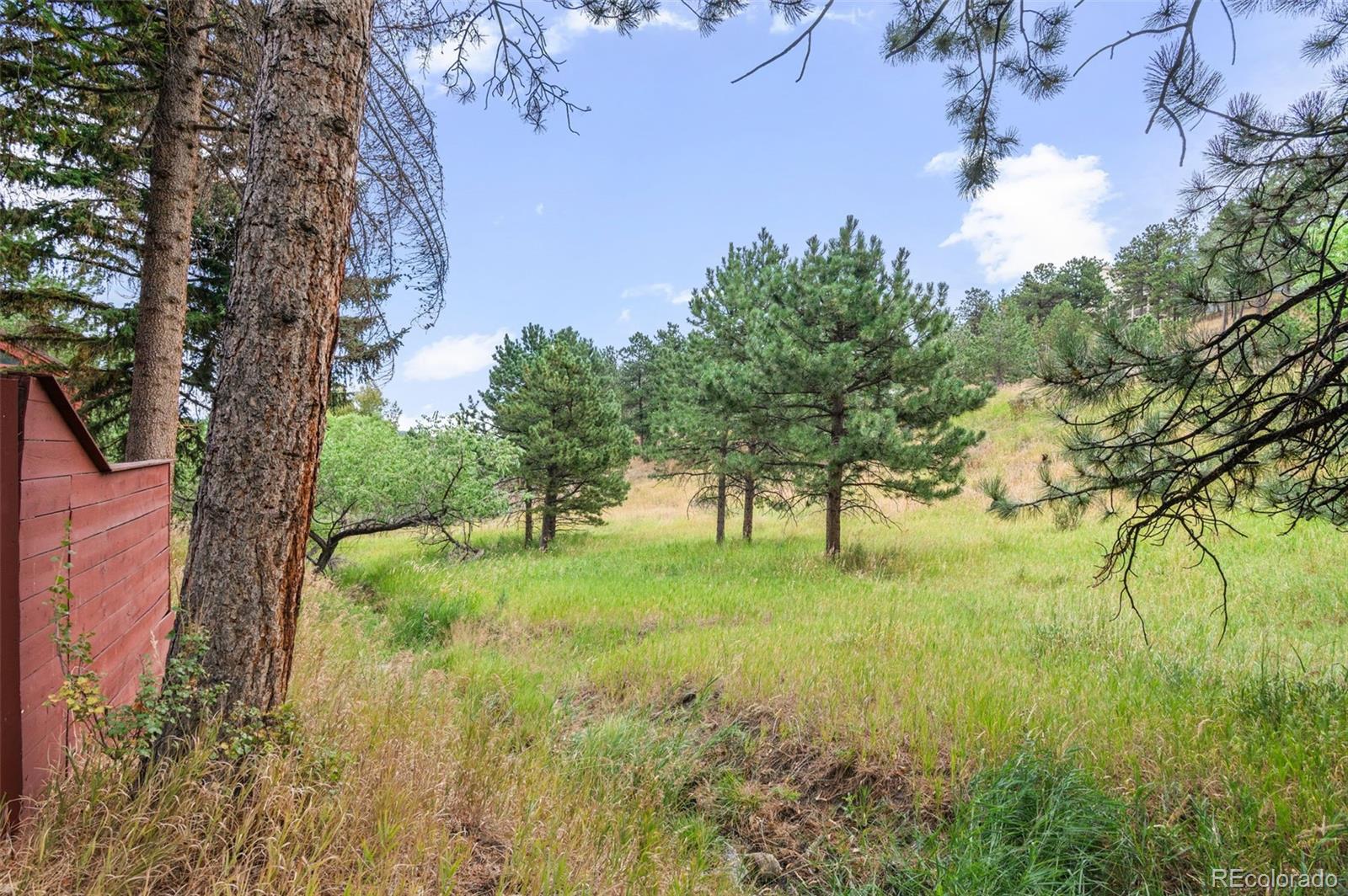 23705 Bluestem Drive